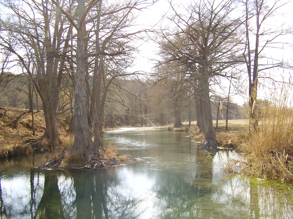Guadalupe River, Texas, about four miles from the cabins