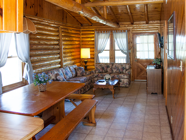 Cabin living interior